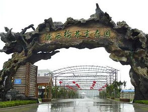 生態園的靈魂構筑 解析假樹大門的設計與營造