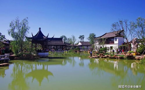 超浪漫 盤點深圳23個約會圣地,在這里每天都是情人節